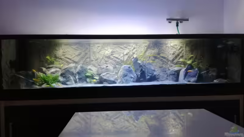 Aquarium Becken 33718 von Andreas Rieger (11)