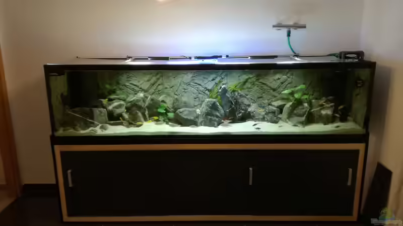 Aquarium Becken 33718 von Andreas Rieger (9)