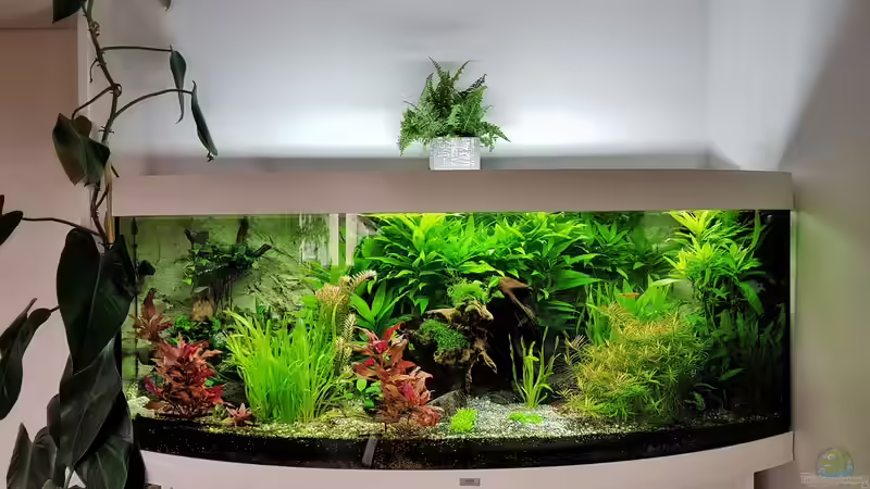 Aquarium Becken 33720 von H4rdei (3)