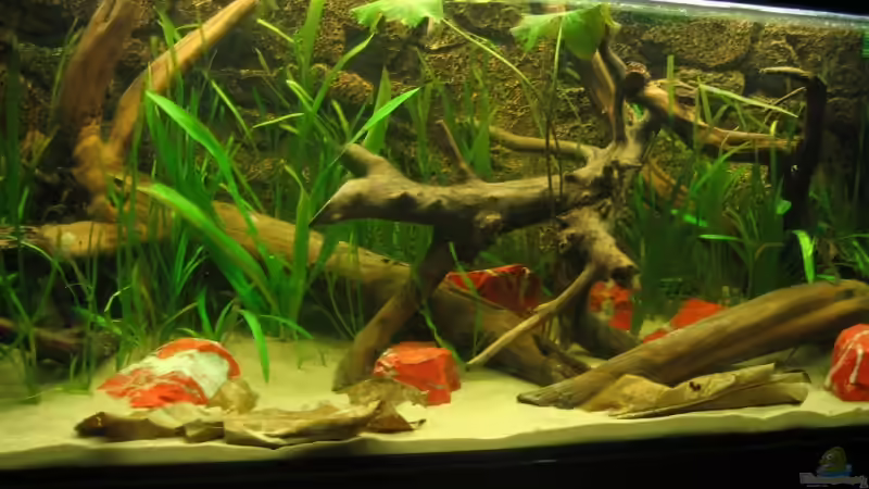 Aquarium Becken 3374 von andif (3)