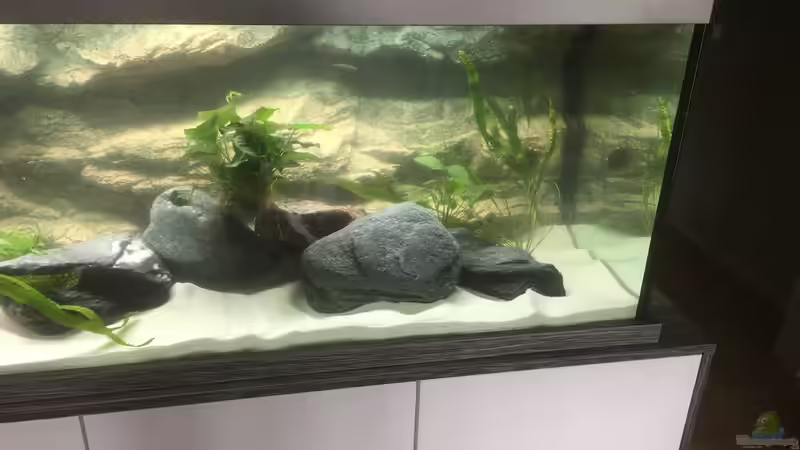 Aquarium Becken 33795 von Enrico Fröhlich (4)