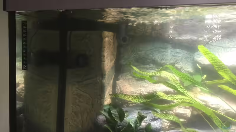 Aquarium Becken 33795 von Enrico Fröhlich (6)