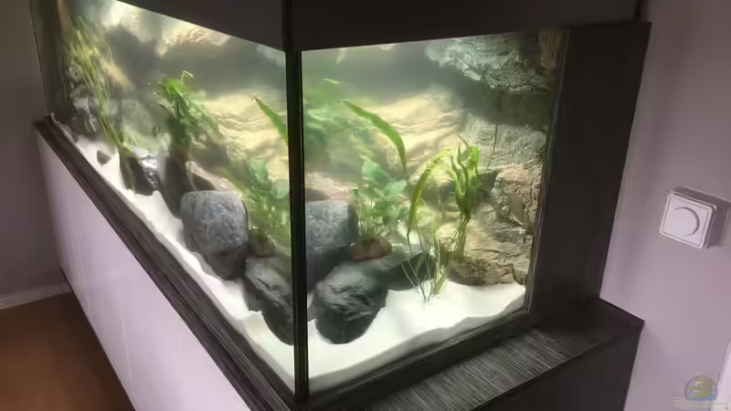 Aquarium Becken 33795 von Enrico Fröhlich (7)