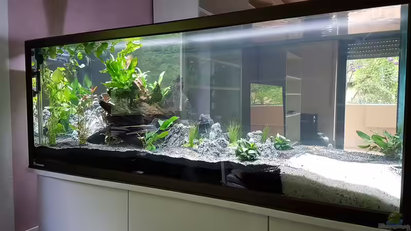 Aquarium Becken 33864 von Sunnyboy_72 (12)