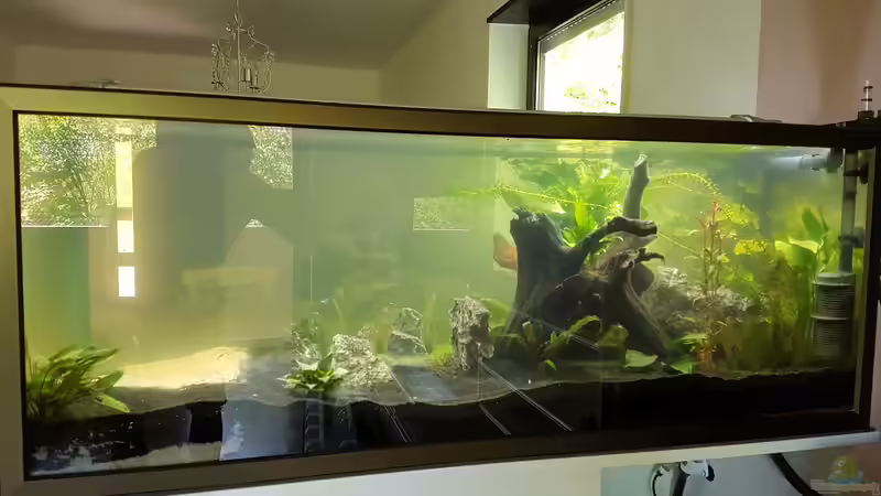 Aquarium Becken 33864 von Sunnyboy_72 (15)