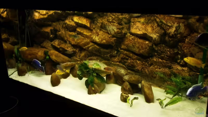 Aquarium Becken 3408 von Thomas Fricke (2)