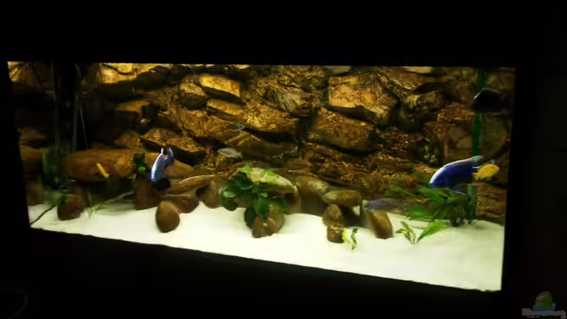 Aquarium Becken 3408 von Thomas Fricke (3)