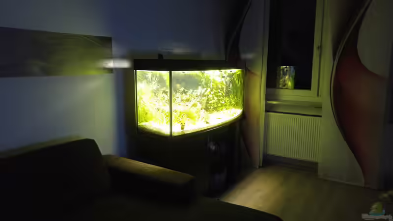 Aquarium Becken 34106 von Standard (2)