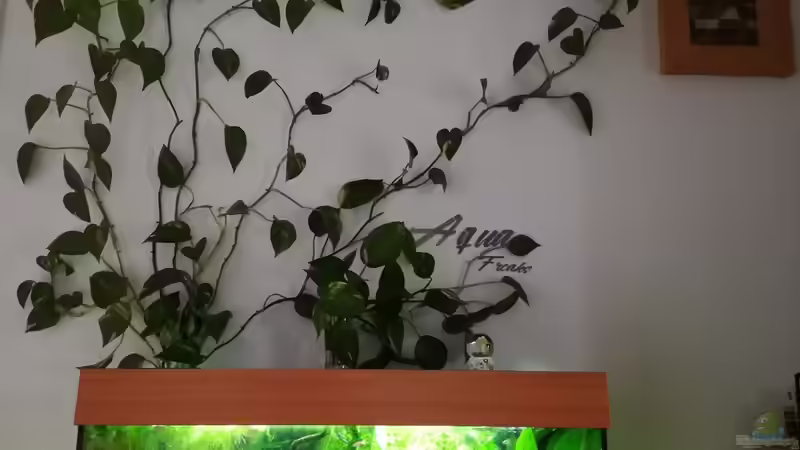 Aquarium Becken 34170 von Heike Fuchs (4)