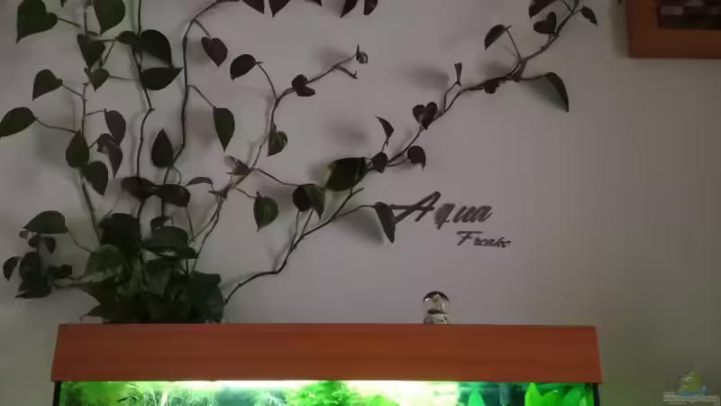 Aquarium Becken 34170 von Heike Fuchs (5)