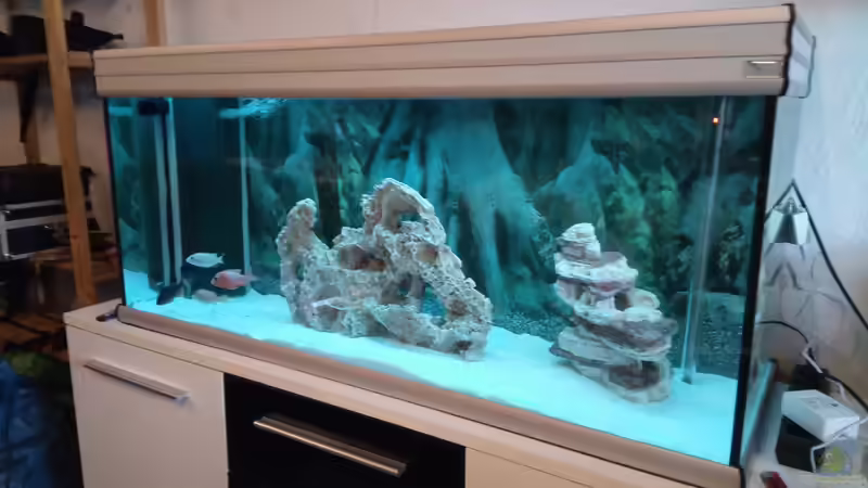 Aquarium Becken 34175 von stefan84 (2)