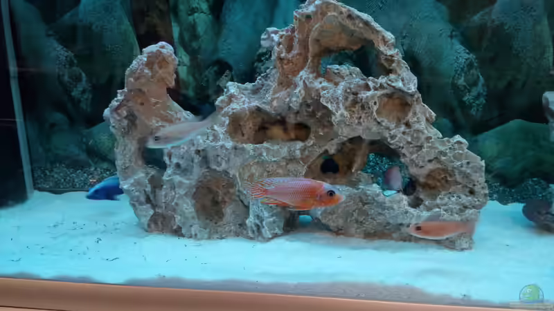 Aquarium Becken 34175 von stefan84 (4)