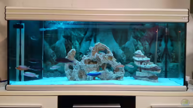 Aquarium Becken 34175 von stefan84 (5)