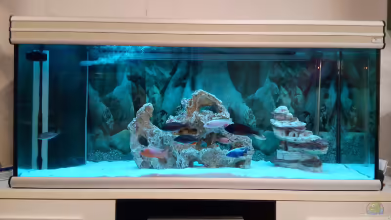 Aquarium Becken 34175 von stefan84 (6)