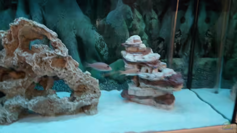 Aquarium Becken 34175 von stefan84 (7)