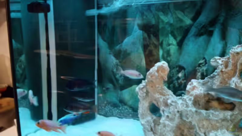 Aquarium Becken 34175 von stefan84 (8)