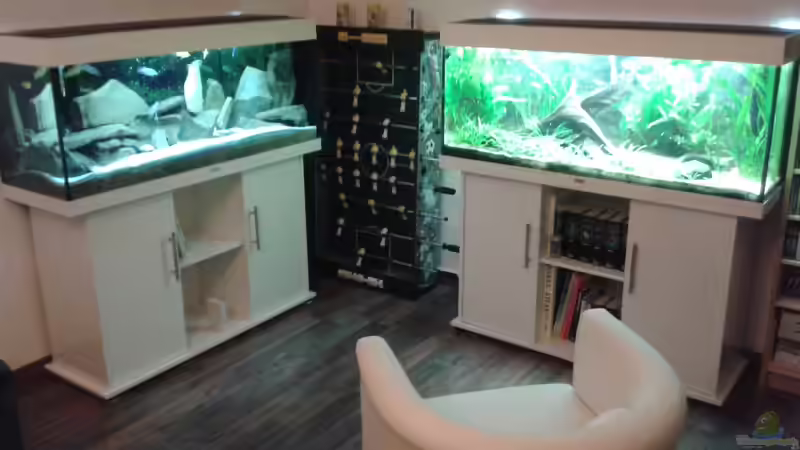 Aquarium Becken 34204 von Andreas Zimmermann (2)