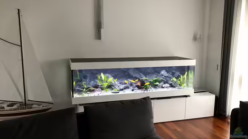 Aquarium Becken 34206 von Boeri (2)