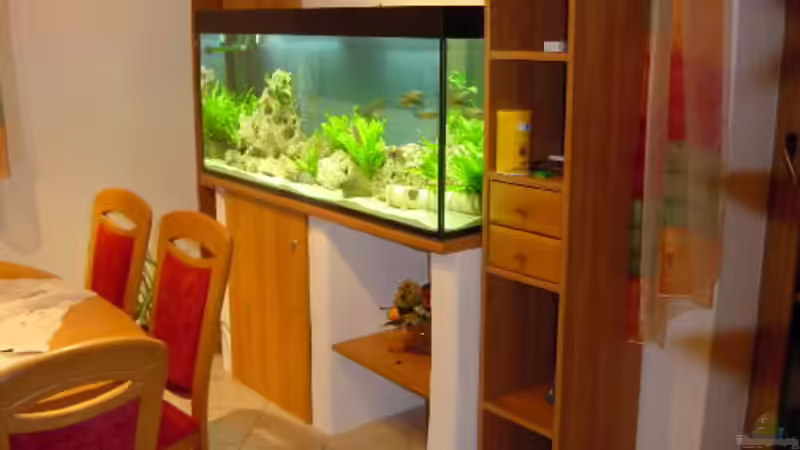 Aquarium Becken 346 von Stephan Dahlmanns (3)