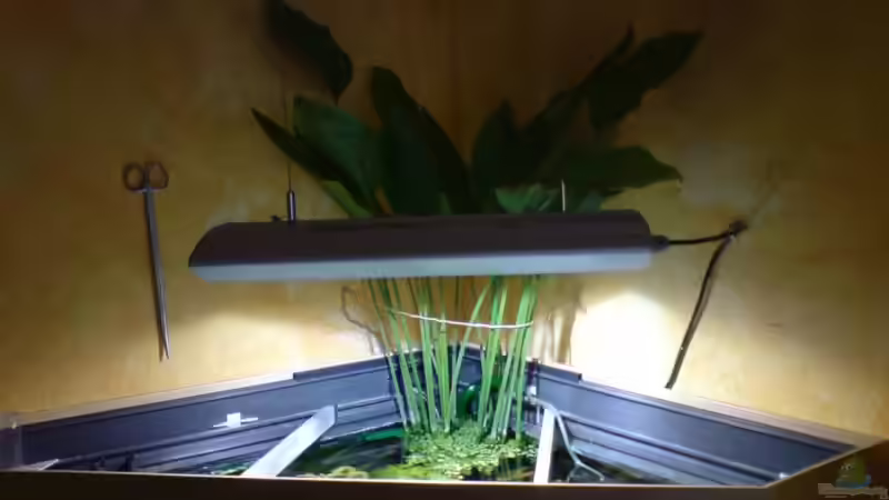 Aquarium Becken 3466 von Joachim Stoner (2)