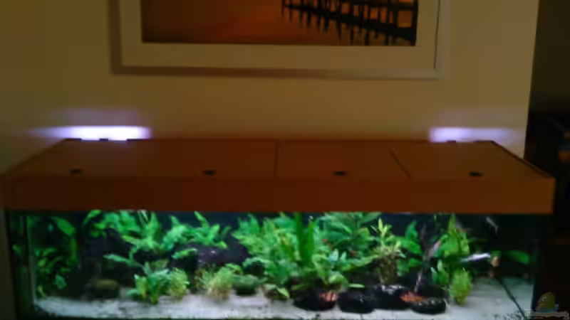 Aquarium Becken 3483 von Sören Gebhardt (6)