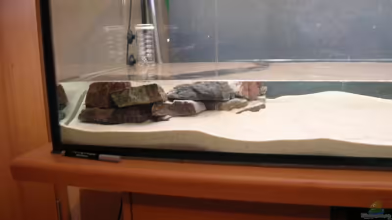 Aquarium Becken 3526 von Burgherr (4)