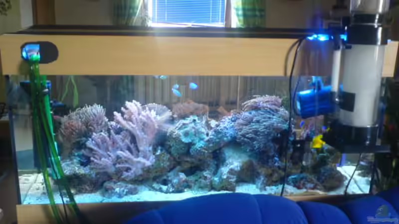 Aquarium Becken 3532 von Heiko Kunzweiler (2)