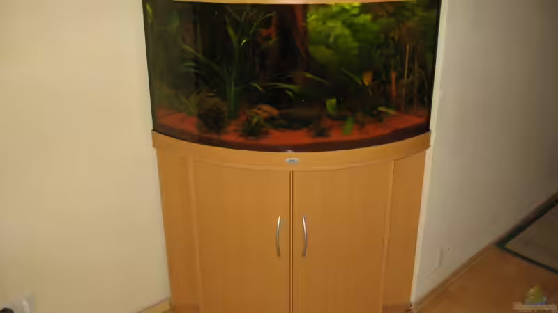 Aquarium Becken 3560 von David Deutschmann (2)