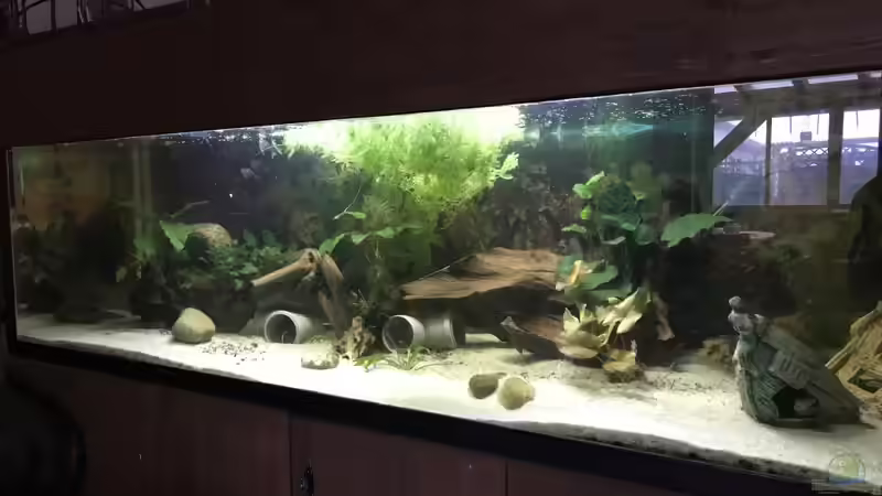 Aquarium Becken 36089 von Kevin De Fries (2)