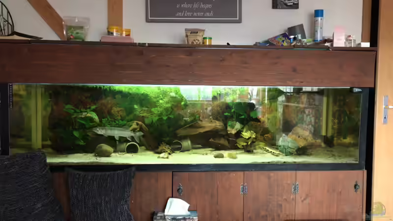 Aquarium Becken 36089 von Kevin De Fries (5)