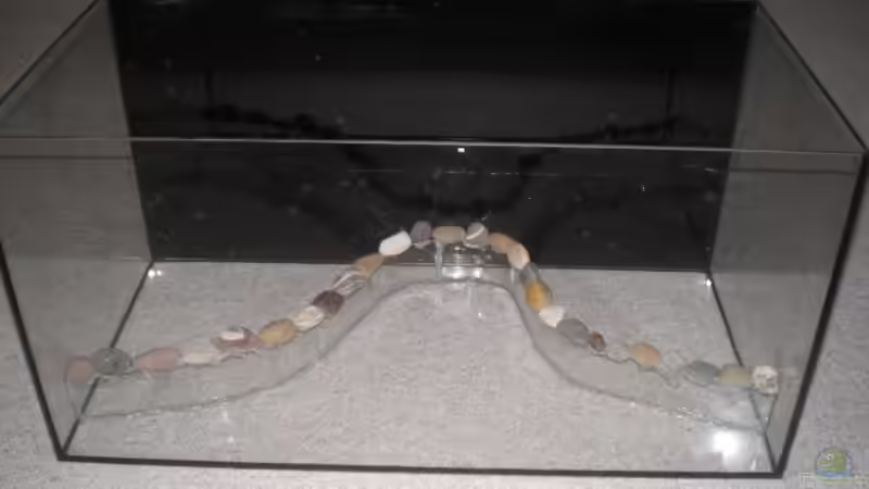 Aquarium Becken 3628 von Sabrina Sommer (2)