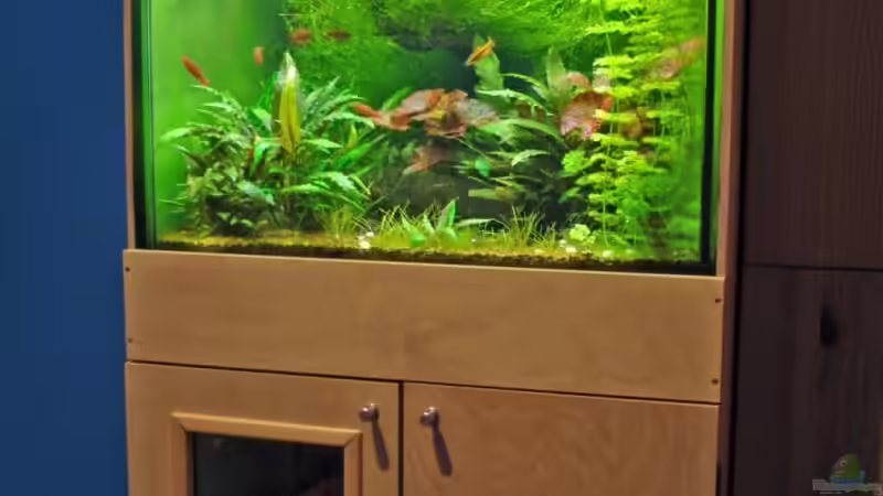 Aquarium Becken 3630 von Seifert Daniel (3)