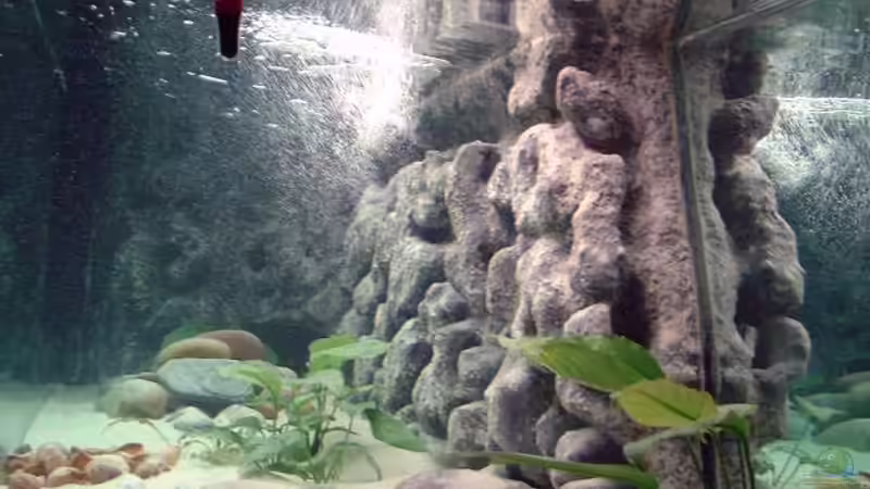 Aquarium Becken 371 von Ralf Romer (3)