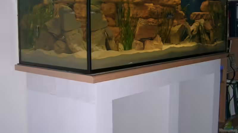 Aquarium Becken 3719 von Mikolas Rost (4)