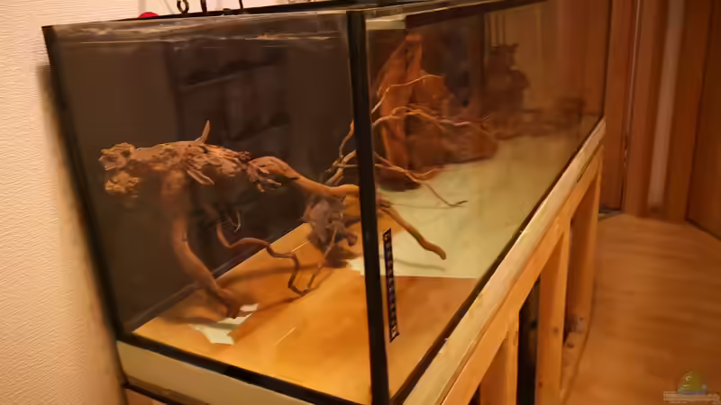 Aquarium Becken 37888 von Thomas Titze (3)