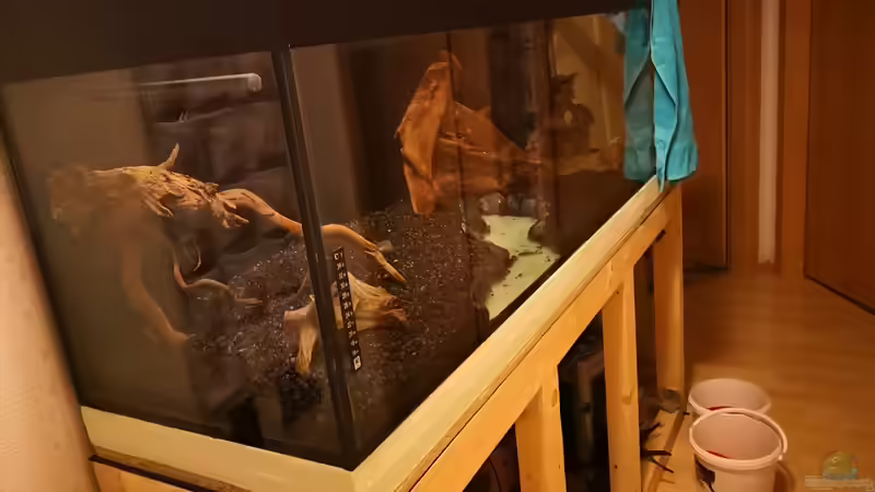 Aquarium Becken 37888 von Thomas Titze (4)