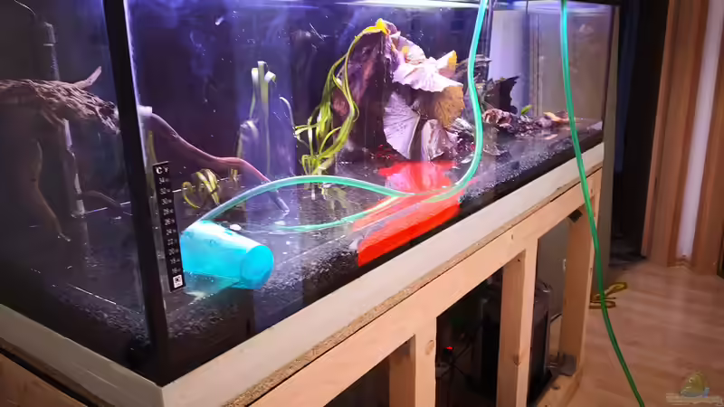 Aquarium Becken 37888 von Thomas Titze (6)