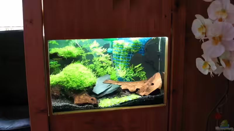 Aquarium Becken 3801 von Heinz Sommer (2)