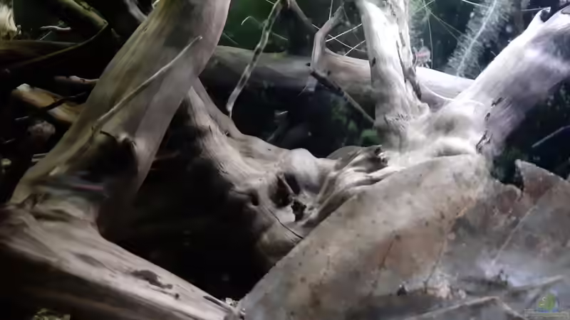 Aquarium Becken 38034 von Moin (6)