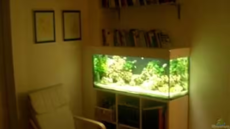 Aquarium Becken 3839 von Georg Zinßer (2)