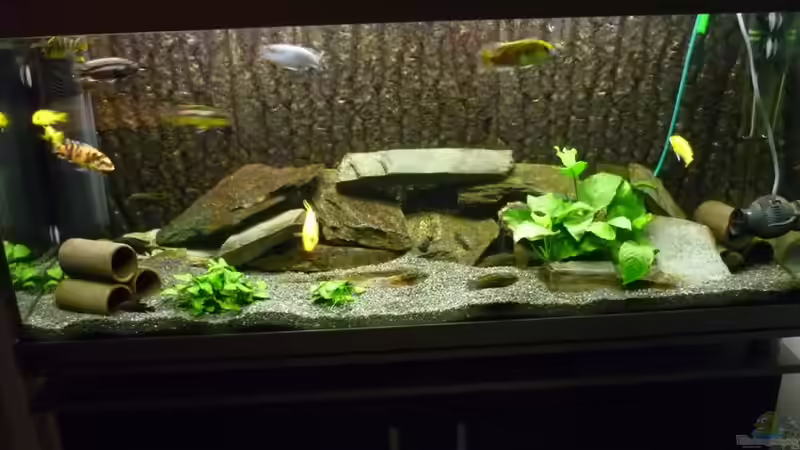 Aquarium Becken 3882 von refo78 (4)