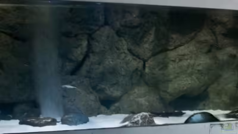 Aquarium Becken 3925 von Christian Daniel (4)