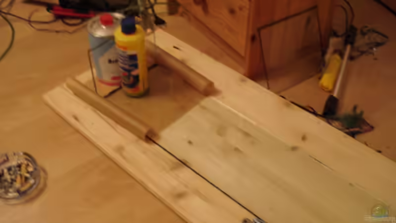 Aquarium Becken 3934 von Michel Goerns (7)