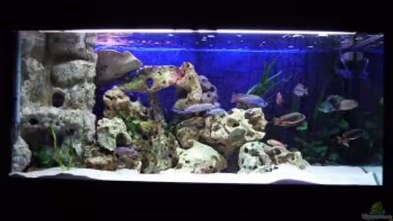 Aquarium Becken 396 von Thomas Biewald (2)