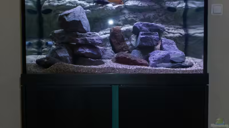 Aquarium Becken 39816 von Steffen Wahl (8)