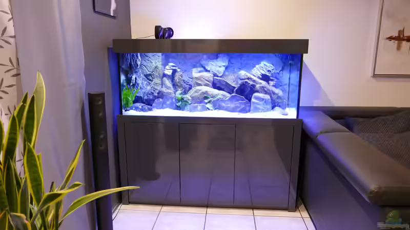 Aquarium Becken 40731 von Babs (10)