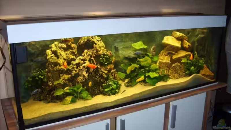 Aquarium Becken 4080 von Leif Mahlerwein (2)