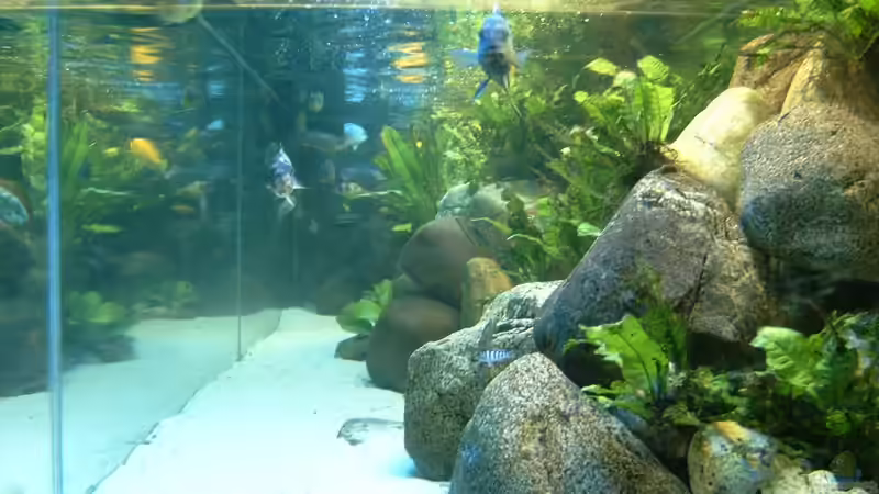 Aquarium Becken 412 von Helgo Jacob (3)