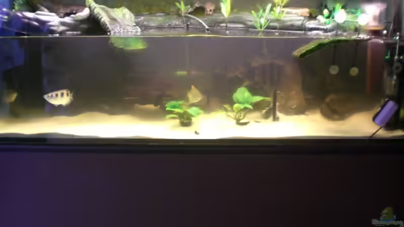 Aquarium Becken 4124 von rot08 (2)