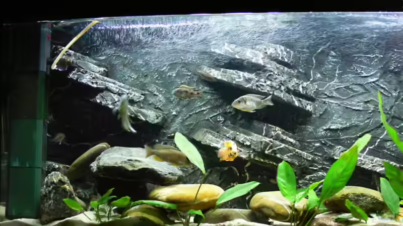 Aquarium Becken 4144 von Christian Klar (2)